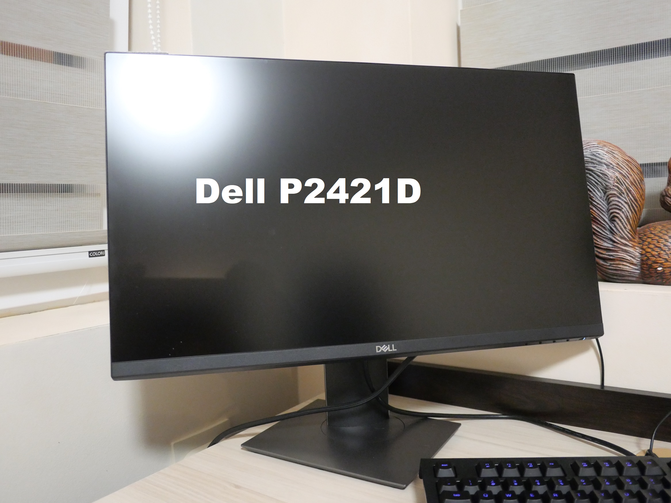 Dell P2421D - one-month feedback